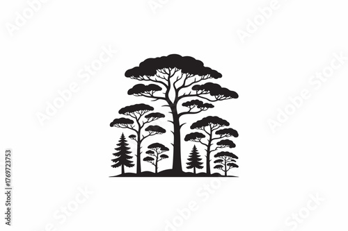 A botany Norway spruce tree vector silhouettes black image.  .eps