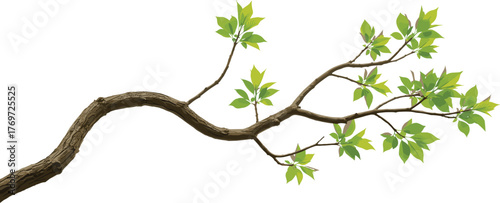 Isolated realistic tree branch with vibrant light green leaves, representing natural growth, spring, freshness, and organic life, perfect vector illustration for ecology and environmental 