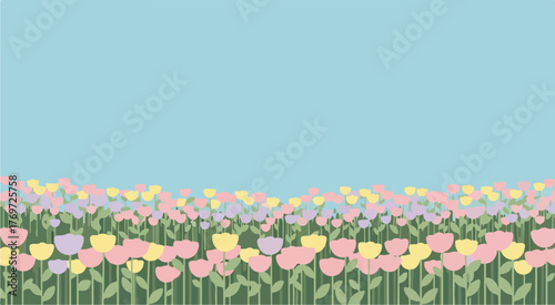 Pastel tulip field illustration background for spring season floral designs and greeting cards art