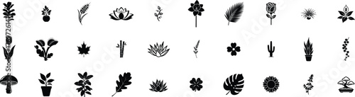 Plants glypy icon set, Leaf/Sprig, Wheat Stalk, Water Lily, Daffodil, Palm Leaf, Rose, Tulip, Maple Leaf, Bamboo, Cactus, vector silhouette