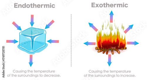 Endothermic, exothermic chemical reactions. Hot cold. Ice cube, camp fire. Release energy in the form of heat. Absorb heat energy from their surroundings.  Illustration vector	