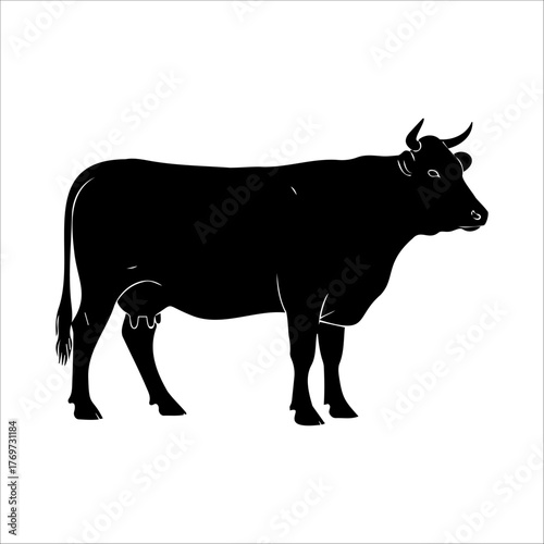 Black silhouette of a cow