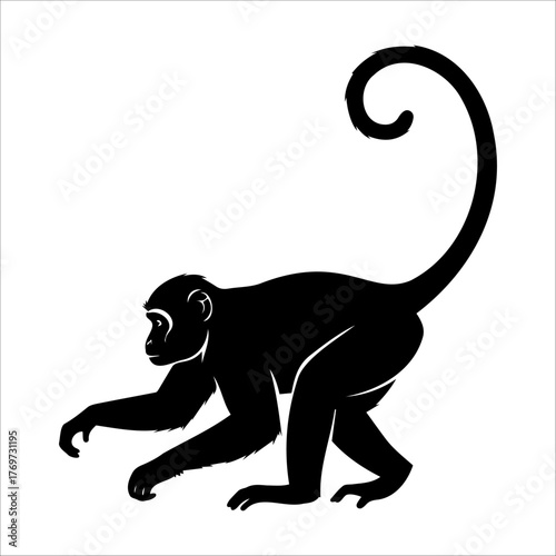 Black silhouette of a spider monkey