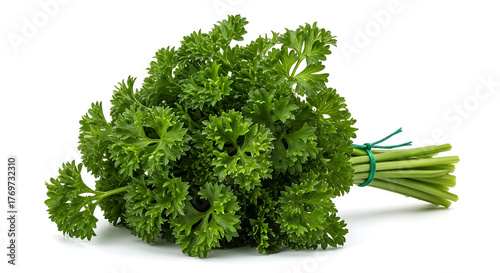 Fresh bunch of curly parsley tied with green string