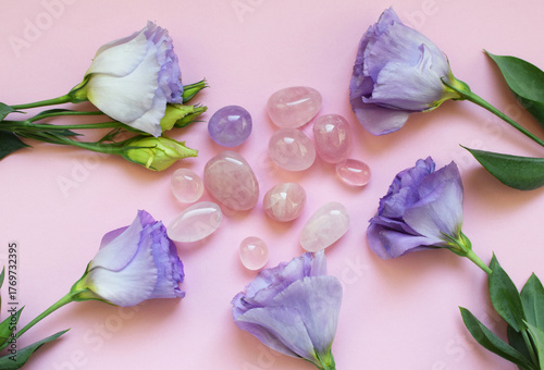 Rose quartz crystals and purple eustoma flowers. Minerals for women. Genuine semi-precious stones. Healing crystals.