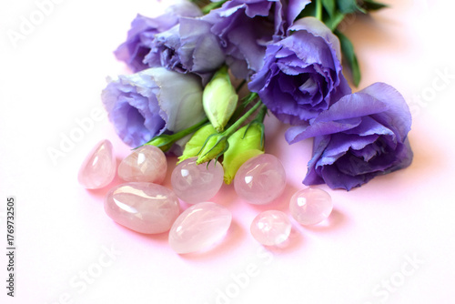 Rose quartz crystals and purple eustoma flowers. Minerals for women. Genuine semi-precious stones. Healing crystals.