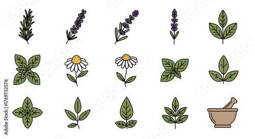 A collection of stylized, hand-drawn botanical illustrations featuring various herbs and flowers, including rosemary, lavender, basil, chamomile, and a mortar and pestle, set against a black
