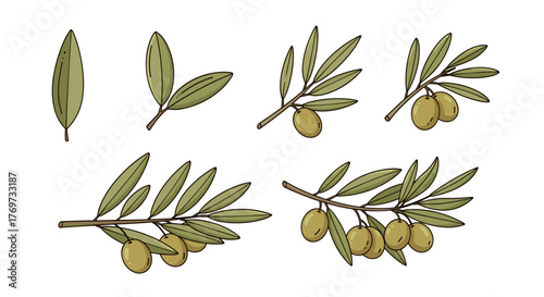 A collection of stylized olive branches with green olives and leaves, showcasing different stages of growth and fruit development, isolated on a black background, perfect for food and beverage
