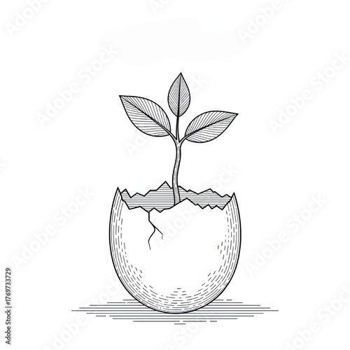 Sprout In Eggshell Vector Illustration Seedling Growing Plant Line Artwork