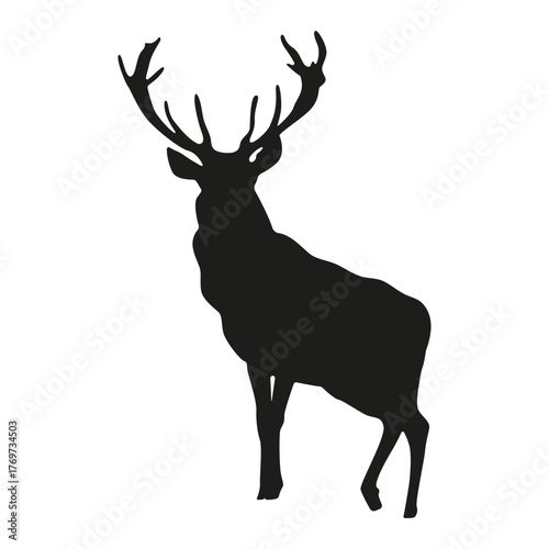 Deer_03