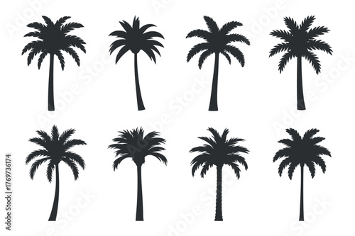 Palm Tree Silhouette Vector Set: Tropical Nature, Exotic Plants