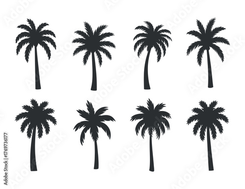 Tropical Palm Tree Silhouette. Vector Design on White Background. Summer