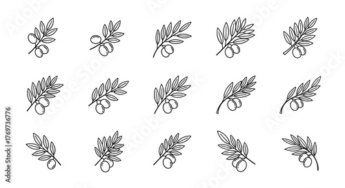 A delicate and intricate line art illustration of various fern fronds, showcasing their detailed structure and organic shapes against a stark black background, perfect for botanical designs and