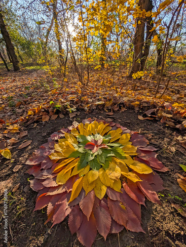 Beautiful flower mandala made with colourful autumn leaves in sunny forest