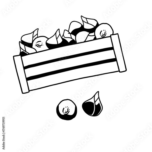 crate with onion on white background