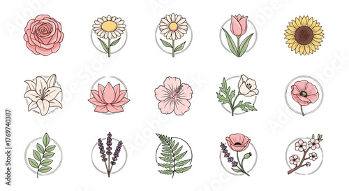 A charming collection of fifteen stylized floral icons, each enclosed in a delicate white circle, featuring a variety of popular flowers like roses, daisies, tulips, sunflowers, lilies, lotuses