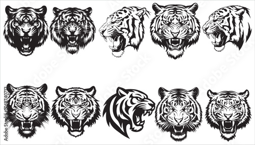 Tiger head silhouette vector illustration on white background