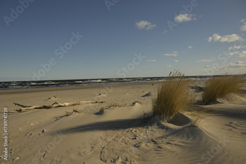 Fototapeta Naklejka Na Ścianę i Meble -  Coastal sand dunes with beach grass and sea waves under blue cloudy sky