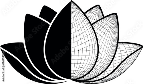 Lotus flower vector illustration half solid black and half wireframe isolated on white background