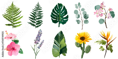 Collection of tropical and botanical elements with fern, monstera, eucalyptus, hibiscus, sunflower, and lavender.
