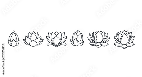 A minimalist line art illustration showcasing the evolution of a lotus flower, from a closed bud to a fully bloomed blossom, presented in a sequence of six distinct stages against a stark black