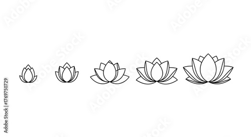 Set of five stylized lotus flowers in increasing size, presented as simple line art outlines on a black background, symbolizing growth, purity, and enlightenment in Eastern cultures, perfect for