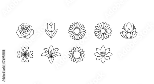 Collection of eight delicate line art floral illustrations, including a rose, tulip, sunflower, lotus, and other stylized blooms, presented on a dark background for a sophisticated and elegant