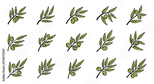 A collection of stylized, flat design olive branches with green olives, presented against a stark black background, showcasing variations in leaf arrangement and fruit clusters, perfect for culinary