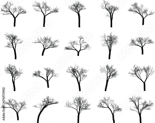 Silhouetted Bare Trees in Winter Against White Background Set of trees
