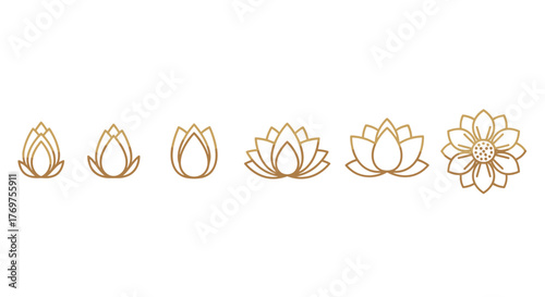 Golden lotus flower icons set, representing stages of blooming from bud to full bloom, symbolizing purity, enlightenment, and rebirth, perfect for wellness, spa, yoga, and meditation branding