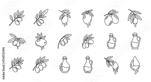 A collection of minimalist line art icons and illustrations featuring olive branches with olives and bottles of olive oil, perfect for food and beverage branding, culinary websites, and healthy