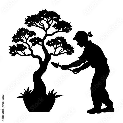 Silhouette of a person pruning a bonsai tree with gardening tools