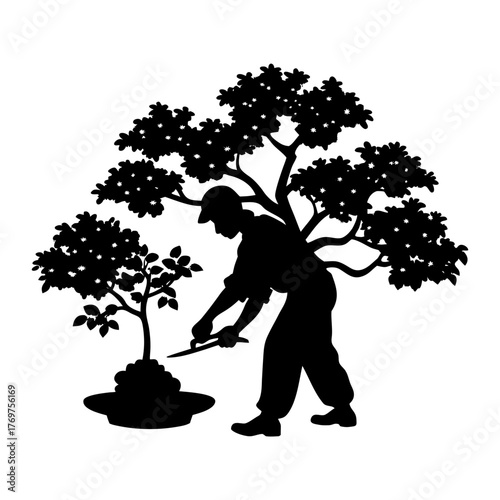 Silhouette of a gardener tending to a bonsai tree
