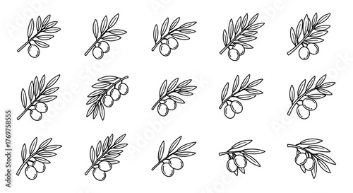 A delicate and intricate line art illustration showcases a collection of five distinct botanical elements, each rendered with fine, precise lines against a stark black background, evoking a sense of