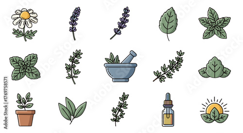Collection of stylized flat icons representing various herbs and plants, including chamomile, lavender, mint, rosemary, and basil, alongside a mortar and pestle, a potted plant, and a dropper bottle