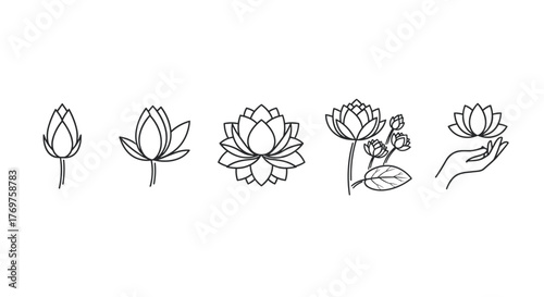 Set of five minimalist line art illustrations depicting the life cycle and beauty of the lotus flower, from bud to full bloom and a hand gently holding a blossom, symbolizing purity, enlightenment