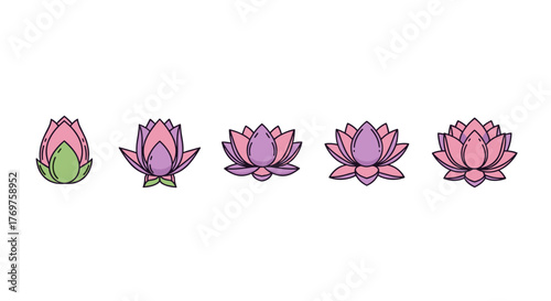 Set of five stylized lotus flowers in various stages of bloom, from bud to fully open, depicted in soft pink and purple hues with green sepals against a stark black background, symbolizing growth