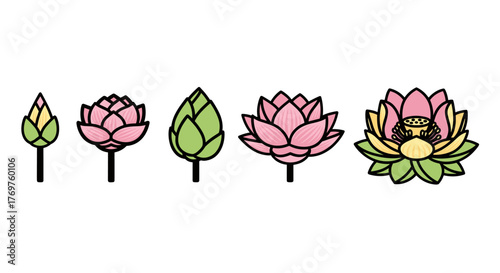 Vibrant illustration showcasing the life cycle of a lotus flower, from a tightly closed bud to a fully bloomed blossom with visible seed pod, presented in a sequence of five distinct stages against a