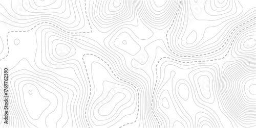 Topographic map. Line contour geographic map pattern with elevation levels.Abstract vector geographic topo wavy grid gray relief texture.. Luxury gold abstract line art on transparent background image