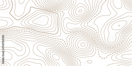 Abstract Topographic Pattern contour line map. Luxury gold abstract line art on transparent background image. Geographic mountain relief diagram line wave carve pattern