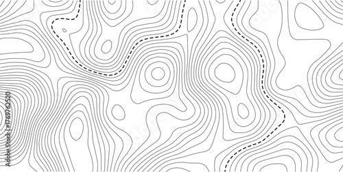 Topographic map. Line contour geographic map pattern with elevation levels.Abstract vector geographic topo wavy grid gray relief texture.. Luxury gold abstract line art on transparent background image