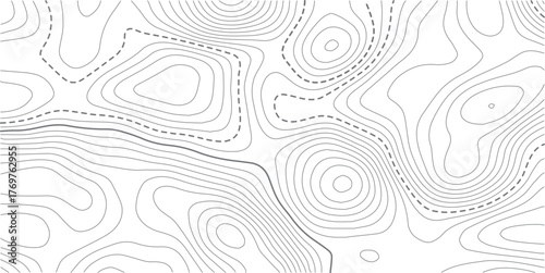 Topographic map. Line contour geographic map pattern with elevation levels.Abstract vector geographic topo wavy grid gray relief texture.. Luxury gold abstract line art on transparent background image