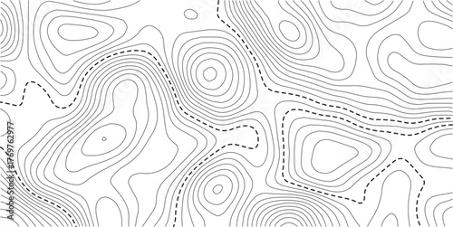 Topographic map. Line contour geographic map pattern with elevation levels.Abstract vector geographic topo wavy grid gray relief texture.. Luxury gold abstract line art on transparent background image