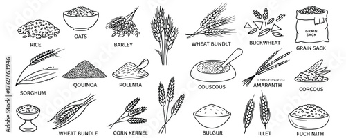 Beautiful line art collection of grains and cereals including rice, quinoa, oats and wheat for menu designs, healthy recipes, and nutrition guides