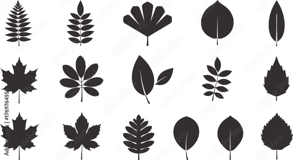 Fototapeta premium Leaf silhouette collection, botanical shapes, black vector leaves, nature icons, foliage design, plant elements, flat vector illustration, isolated leaf set