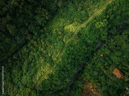 Aerial view of artist trail in Ubud, Bali
