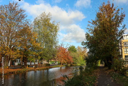 Watching on from the banks of the river Lea while it supports ducks, geese, swans, numerous plants as well as a boating lifestyle, while it flows through hertford just north of London