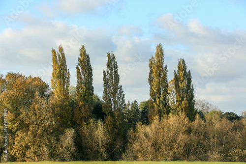 Walking through the middy forest paths around Hertford through the leaves and branches as the colder months of the year wrap themselves around the world