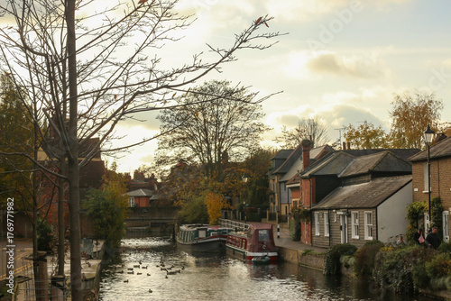 Watching on from the banks of the river Lea while it supports ducks, geese, swans, numerous plants as well as a boating lifestyle, while it flows through hertford just north of London 