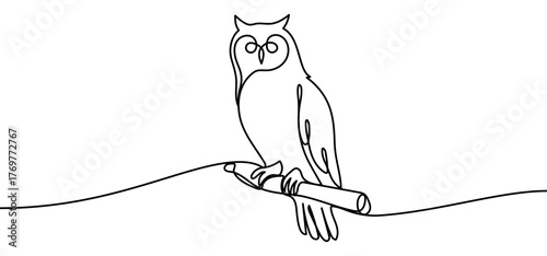 Owl sign, minimalist ecological and environmental concept symbol, continuous line design, isolated on transparent background, vector illustration